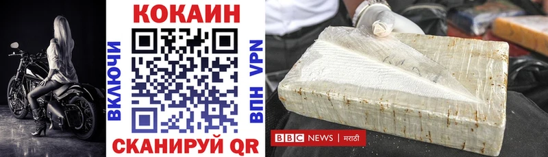 Cocaine FishScale  дарнет шоп  Дигора 