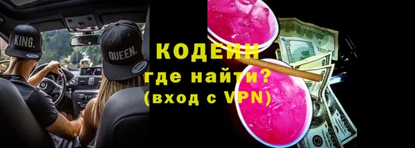 дживик Богородск