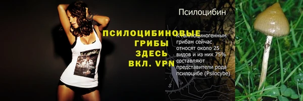 соль курить ск Богородицк