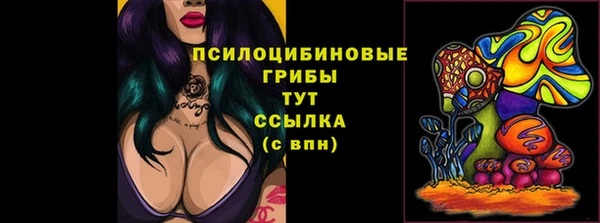 дживик Богородск