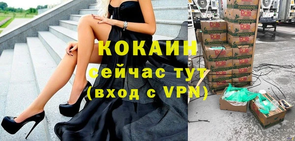 первитин Богданович