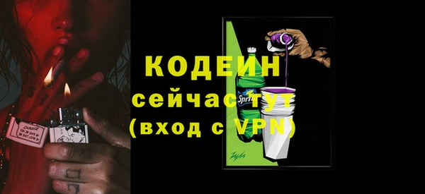 дживик Богородск