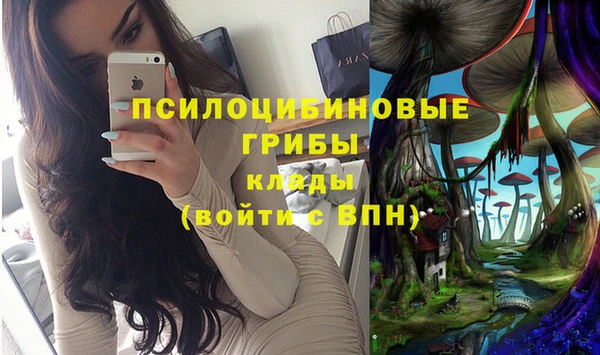 соль курить ск Богородицк